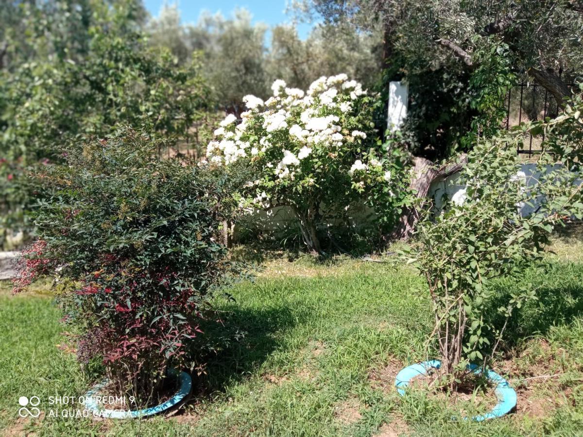Bella-Caza Apartment Makri Luaran gambar