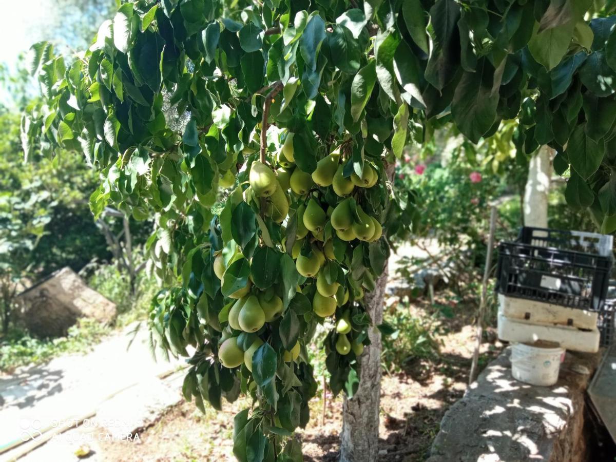 Bella-Caza Apartment Makri Luaran gambar
