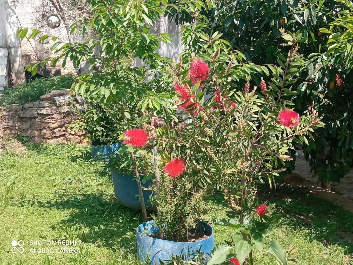 Bella-Caza Apartment Makri Luaran gambar