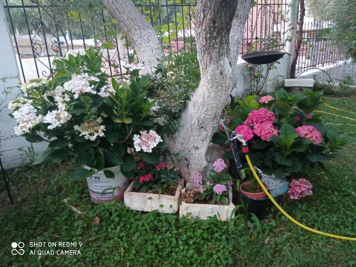 Bella-Caza Apartment Makri Luaran gambar