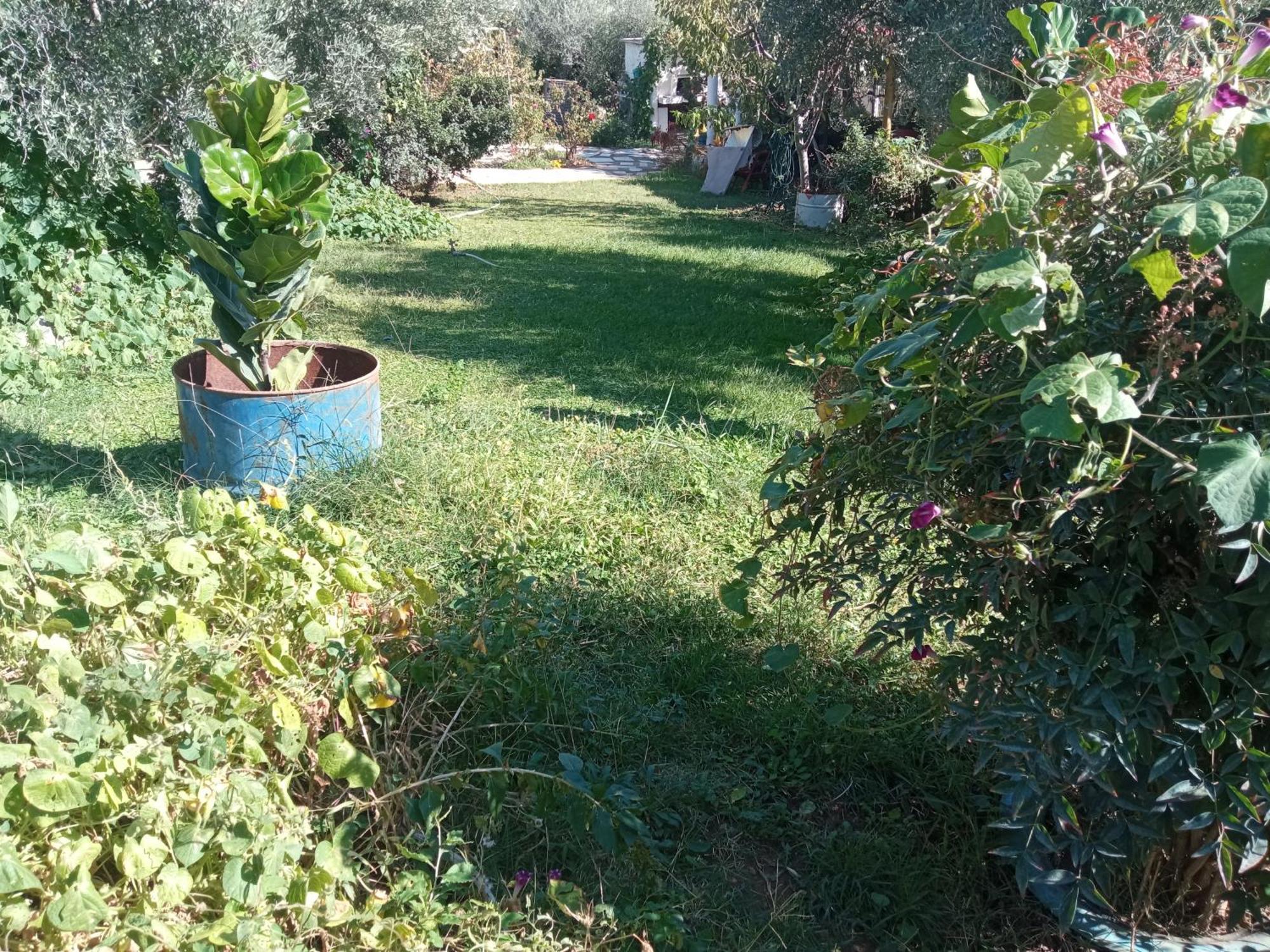 Bella-Caza Apartment Makri Luaran gambar
